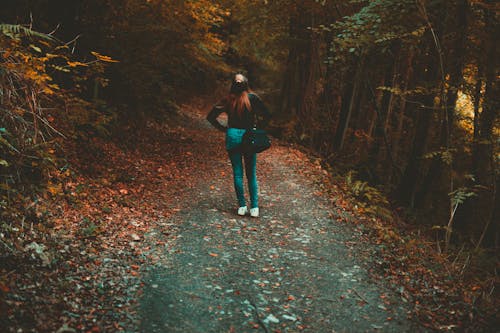 Free Woman Walking on Forest Trail Stock Photo