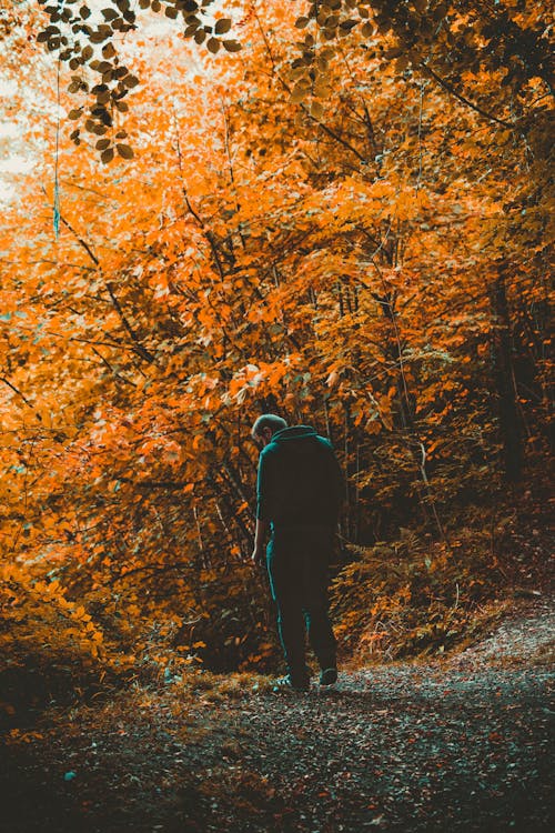 Man Standing on Road Near Trees