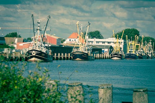 Free stock photo of boats, boote, büsum