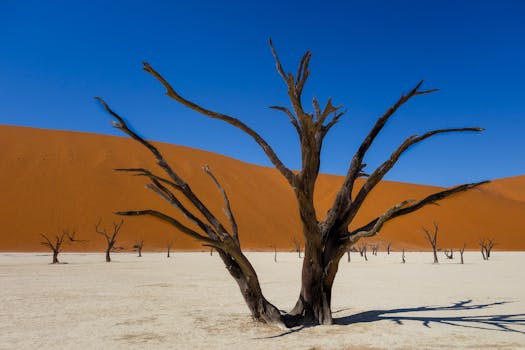 Captivating view of arid desert with striking dead trees and blue sky.