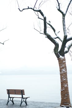 A serene winter scene with a solitary bench and snow-covered tree by a calm lake.