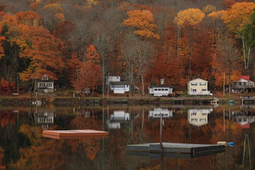 Бесплатное стоковое фото с деревья, дома, зеркальное отражение