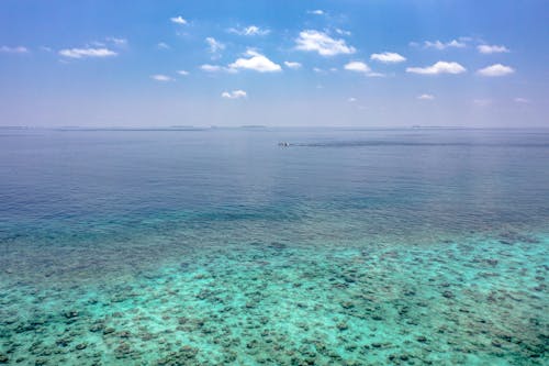 Бесплатное стоковое фото с вода, голубой, мальдивские острова