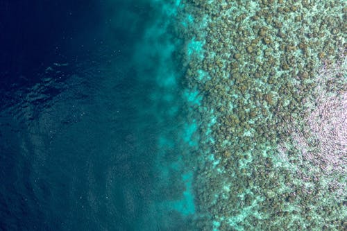Aerial Photo of the Ocean