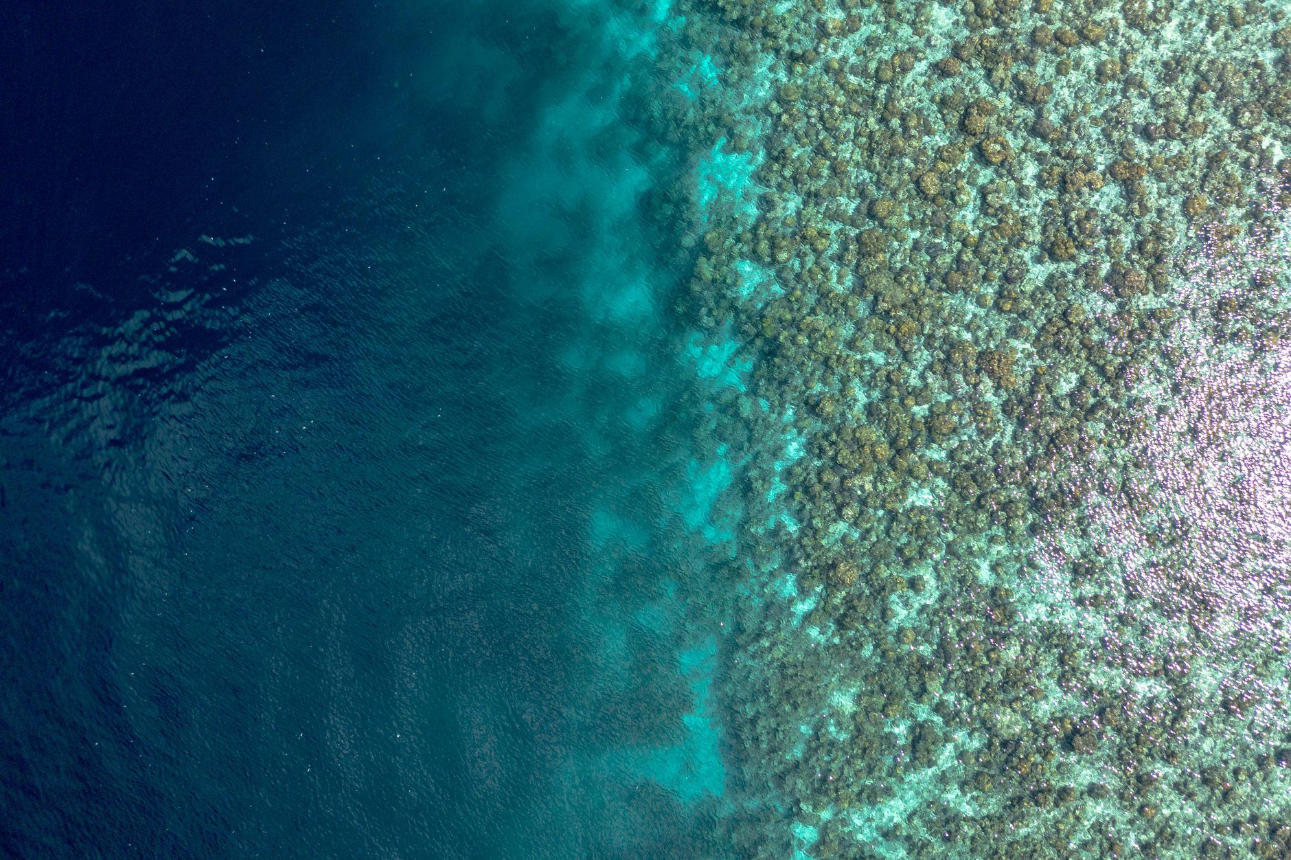 Photo of Baa Atoll