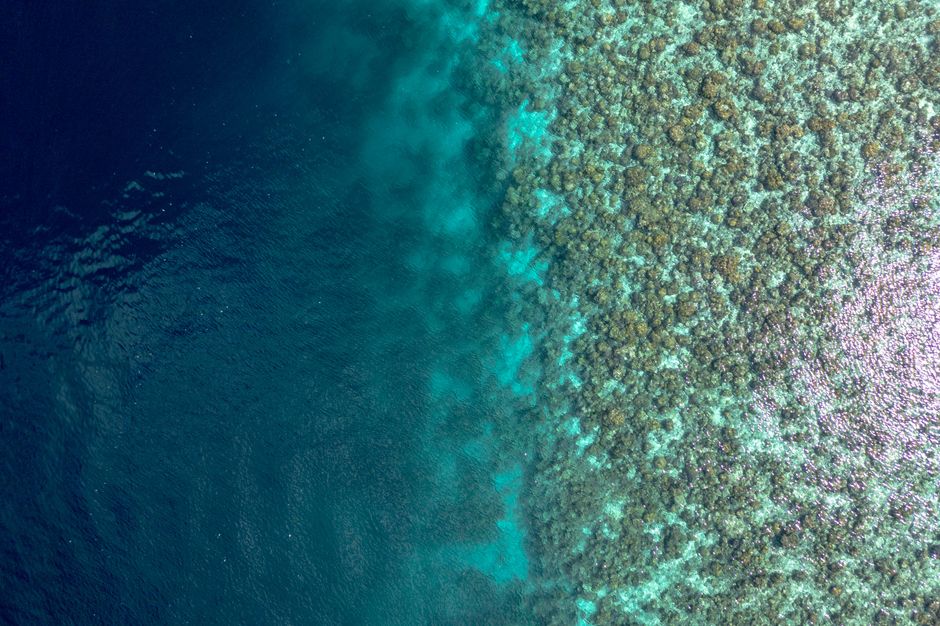 Aerial view of vibrant coral reefs and deep blue sea in Meedhoo, Maldives, showcasing natural beauty.
