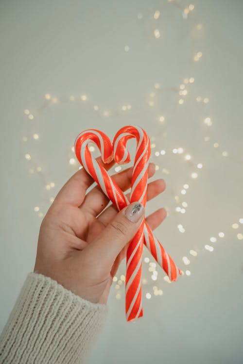 A Person Holding Candy Canes