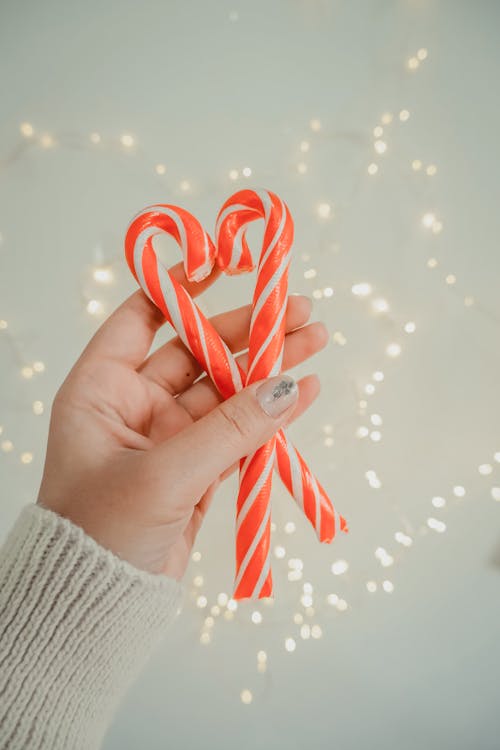 A Person holding Candy Canes
