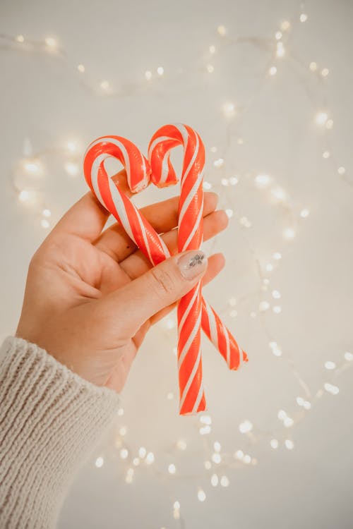 A Person holding Candy Canes