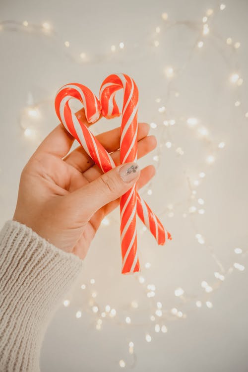Person Holding Candy Canes