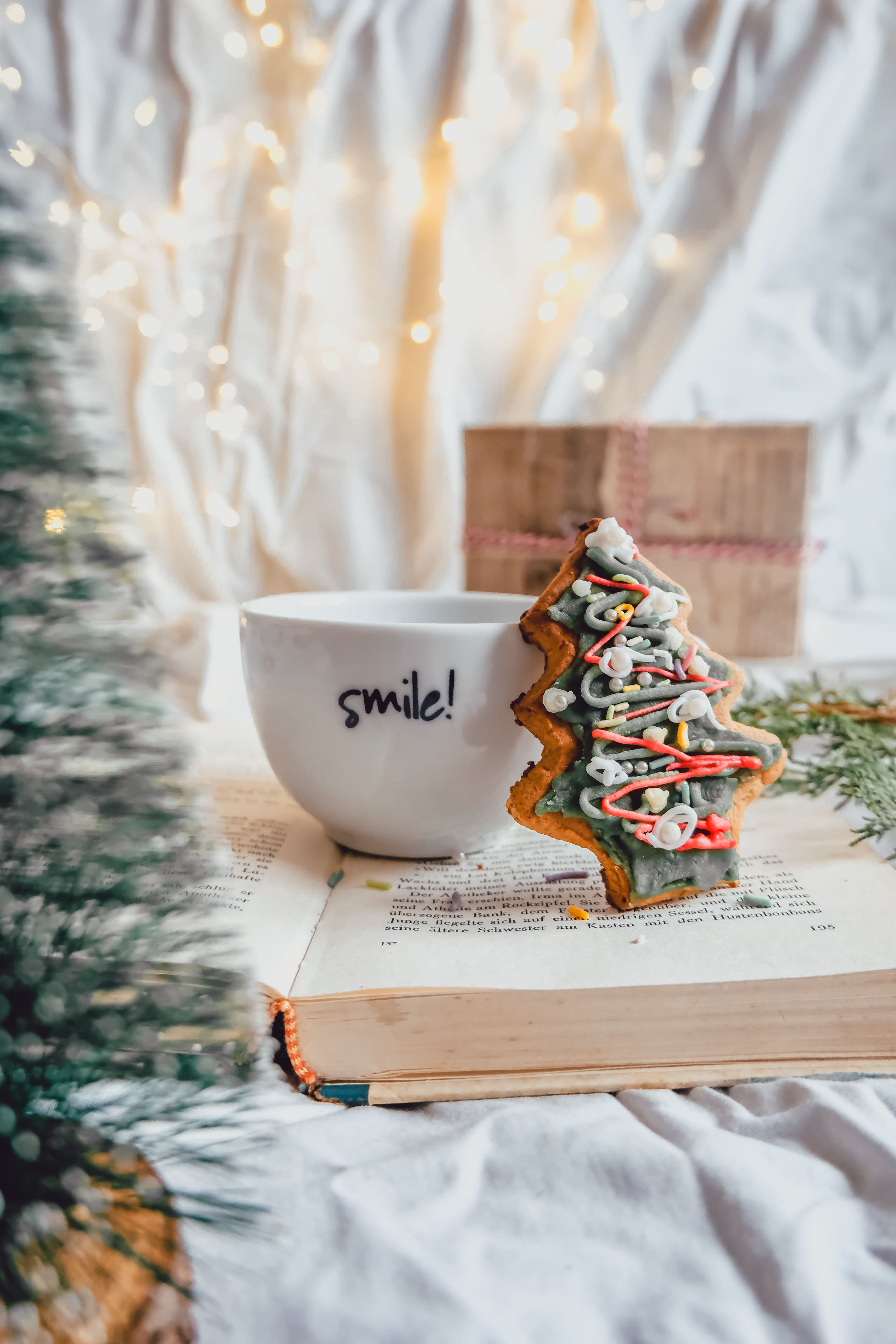 Cozy Christmas scene with a cookie and smiley cup on an open book, perfect for holiday vibes.
