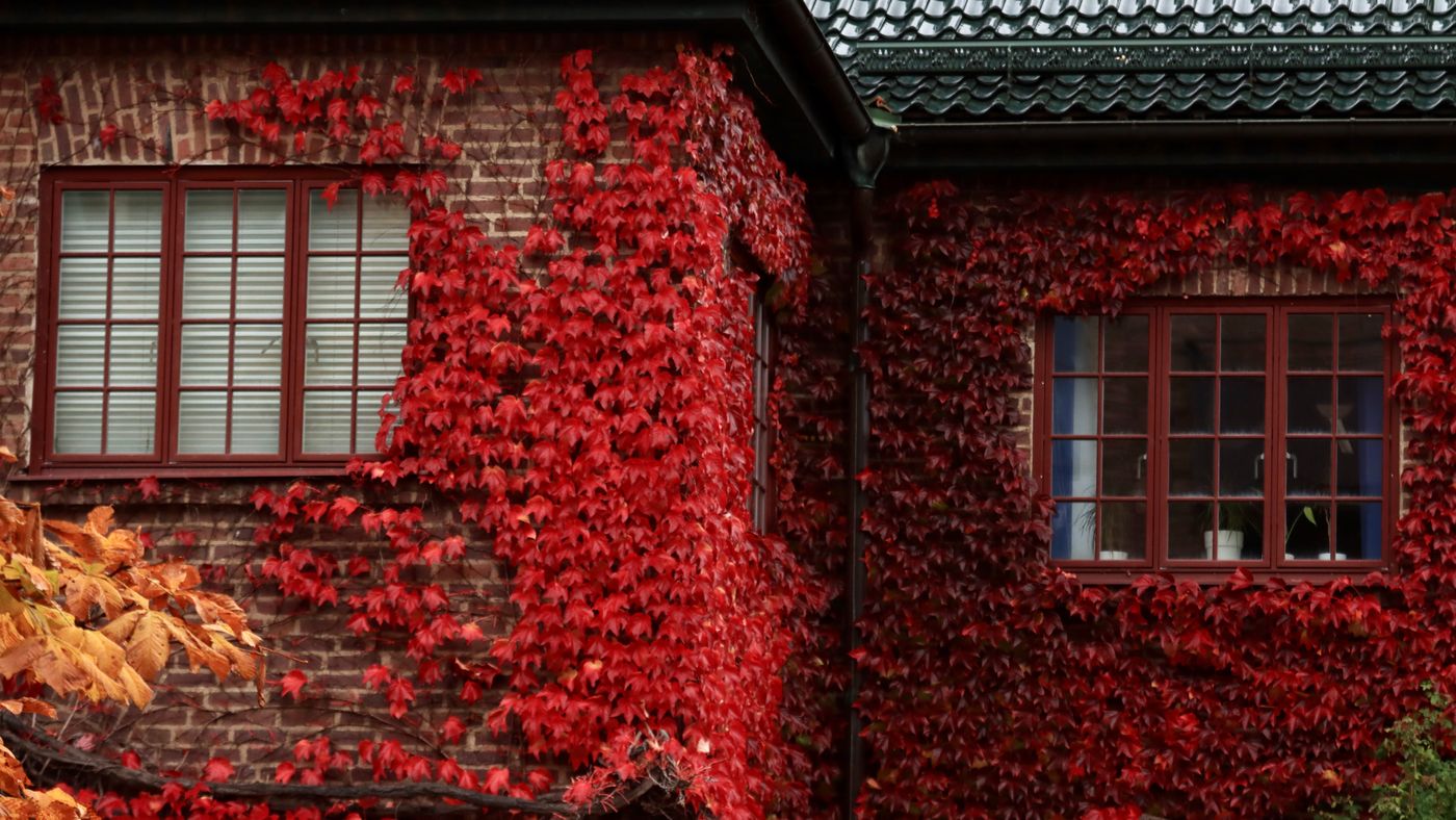 My Fall Checklist: Getting the House Ready Before the First Freeze
