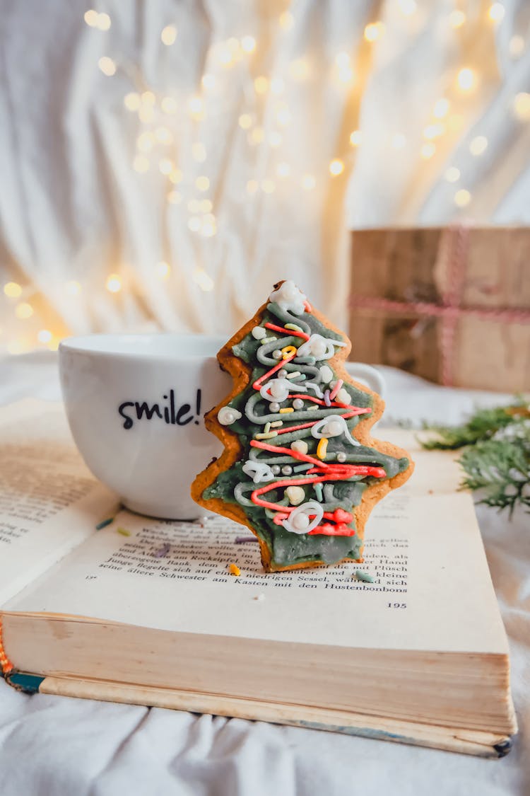 Cookie On A Book