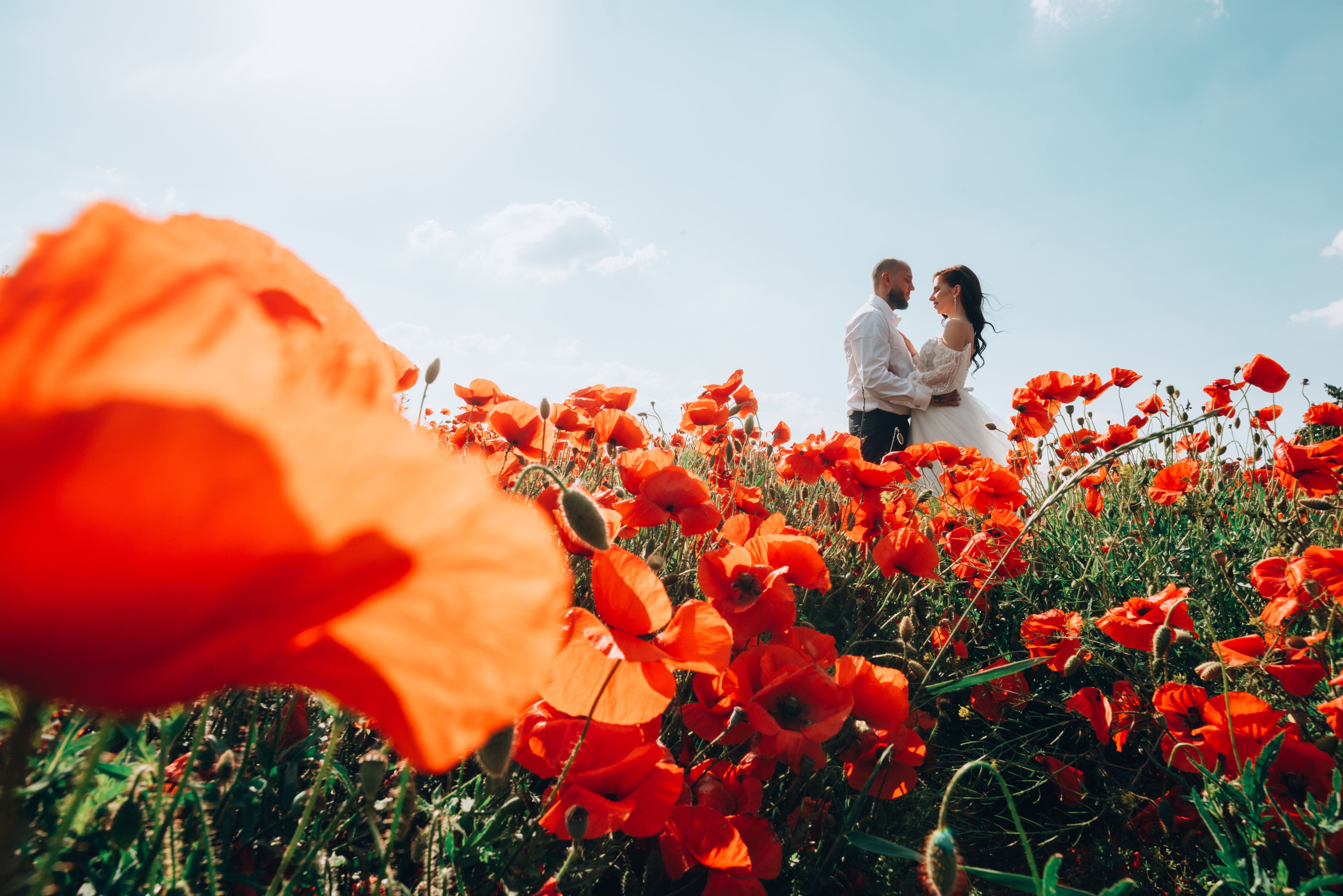 Bride and groom sharing a moment in a vibrant poppy field under a clear sky.