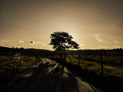 Fotobanka s bezplatnými fotkami na tému cool pozadie pracovnej plochy, hd plochu na plochu, pc tapetu