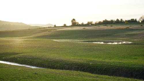 Photo of Grassfield during Golden Hour