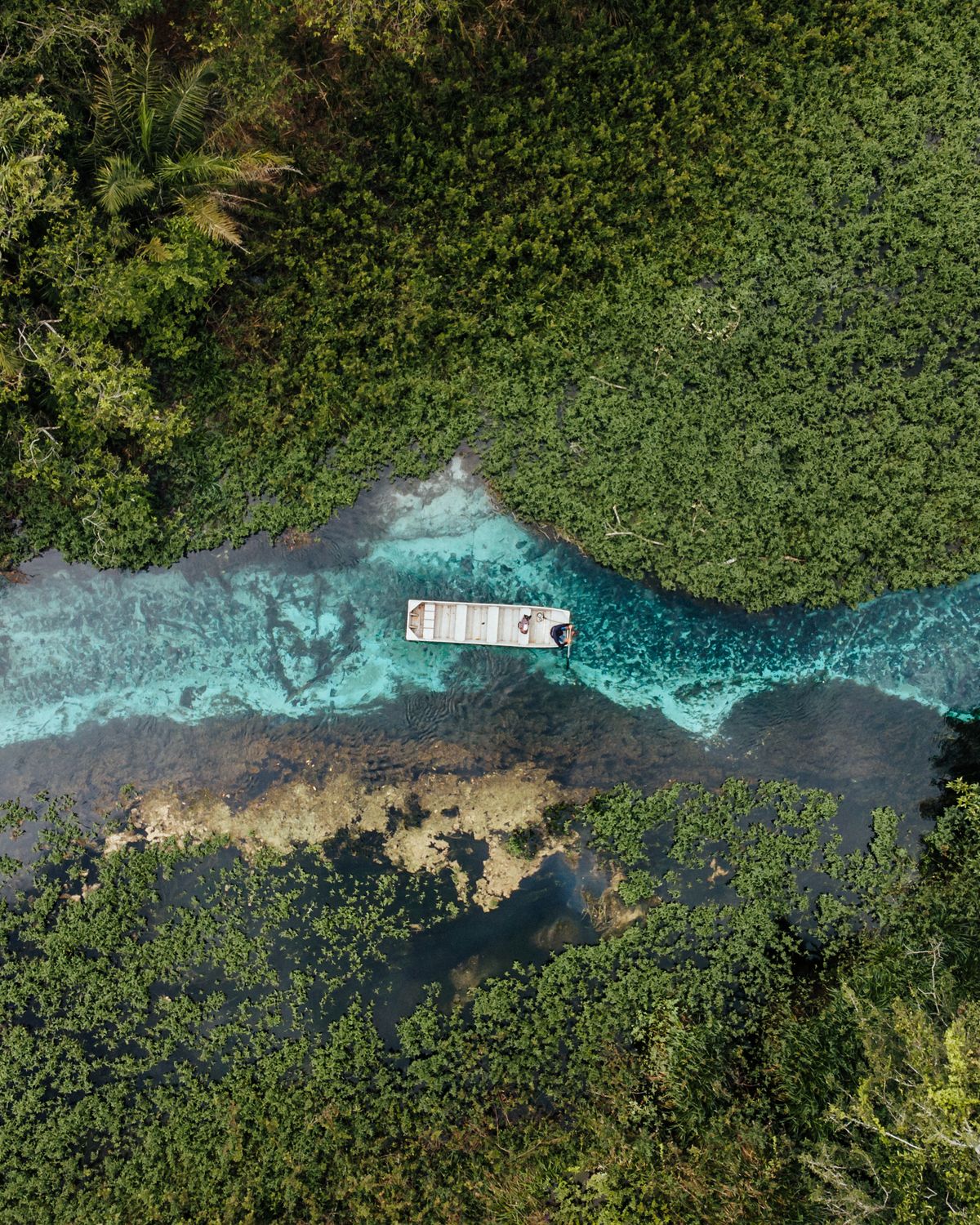Rio cristalino com água esverdeada em Bonito, Mato Grosso do Sul