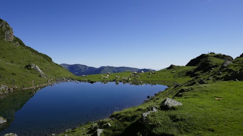 무료 언덕 근처 수역의 풍경 사진 스톡 사진