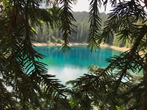 Tranquil mountain lake in Italy seen through evergreen branches, showcasing vivid turquoise waters.