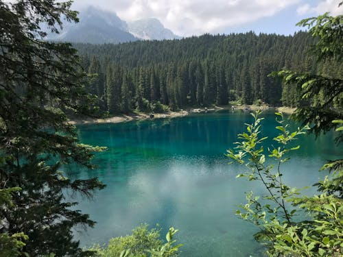 Пейзажная фотография водоема и деревьев