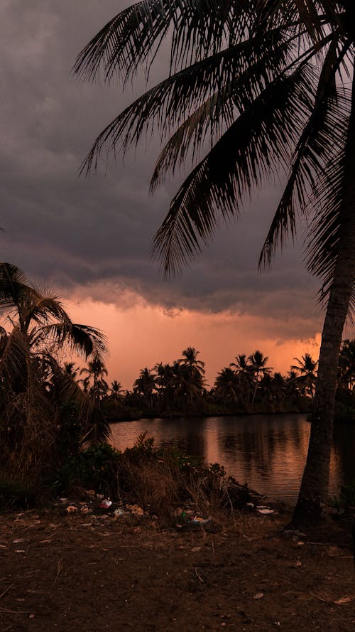 Gratis stockfoto met avond, donker, wolk