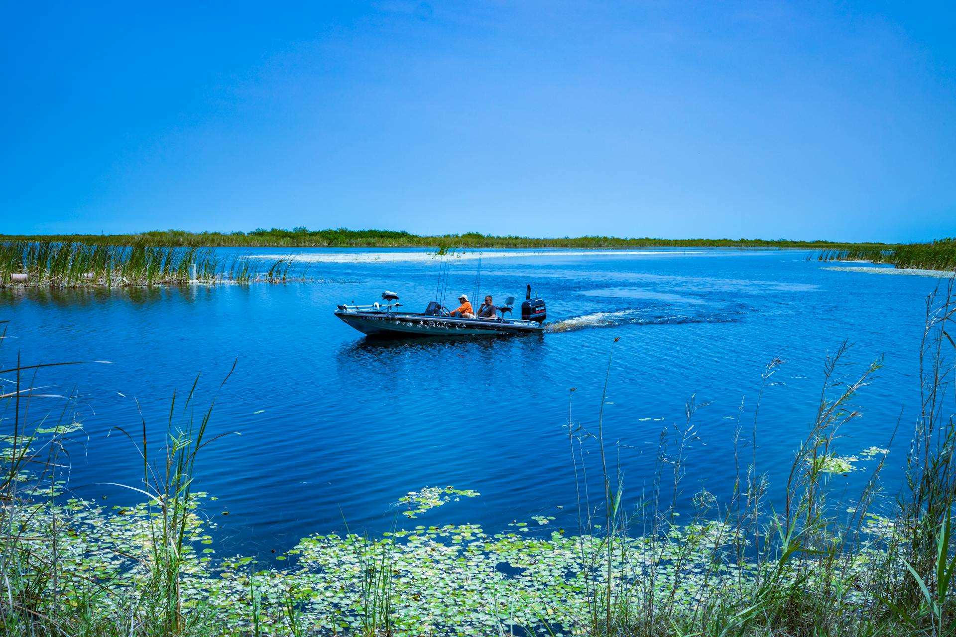 Peaceful boat ride on a lake surrounded by reeds and clear blue sky.