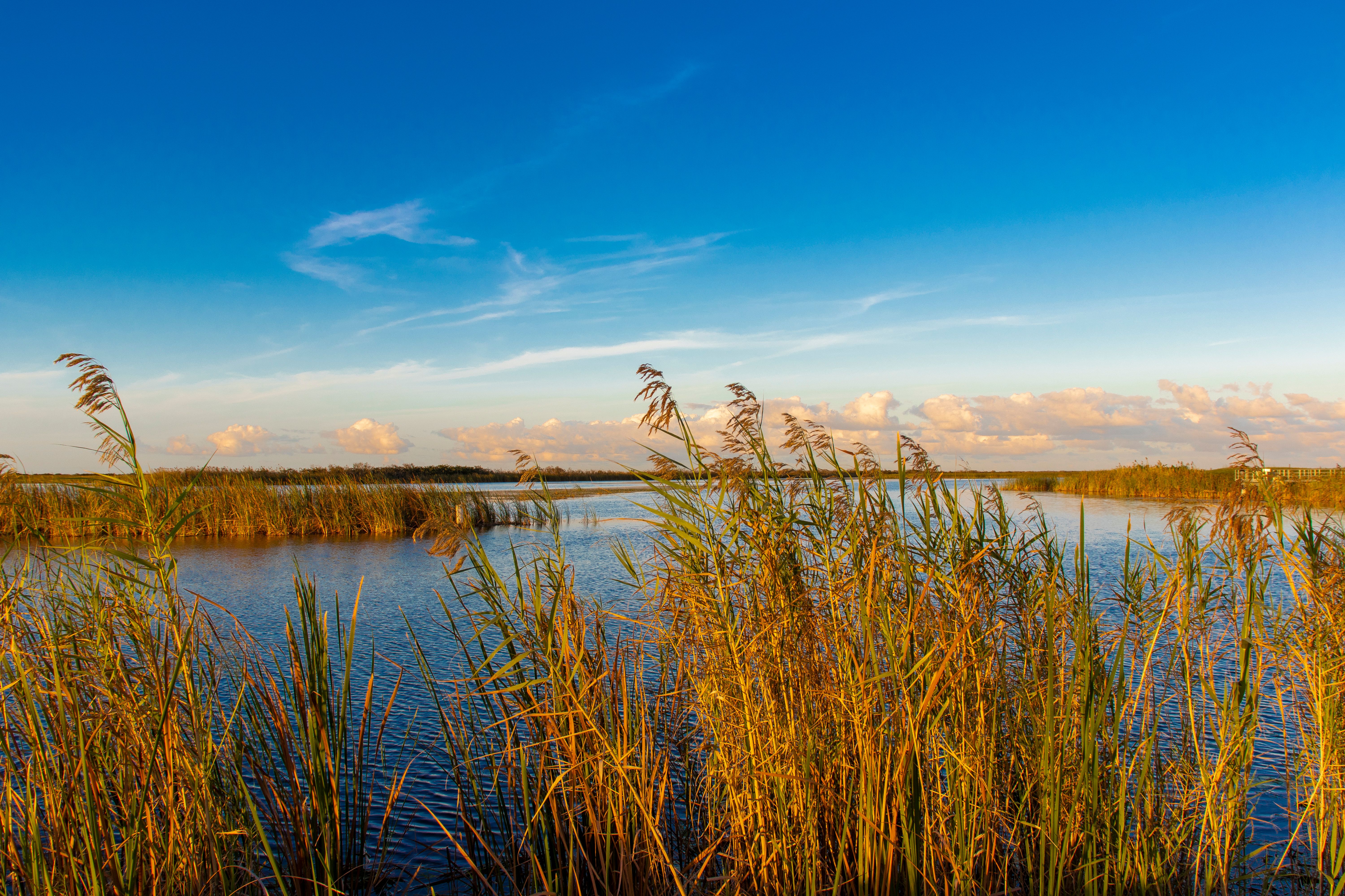coastal conservation