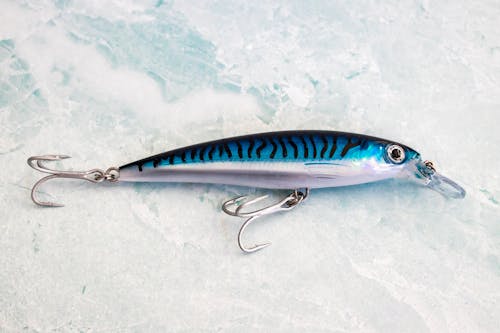 Blue Mackerel Fish bait Lure on Ice