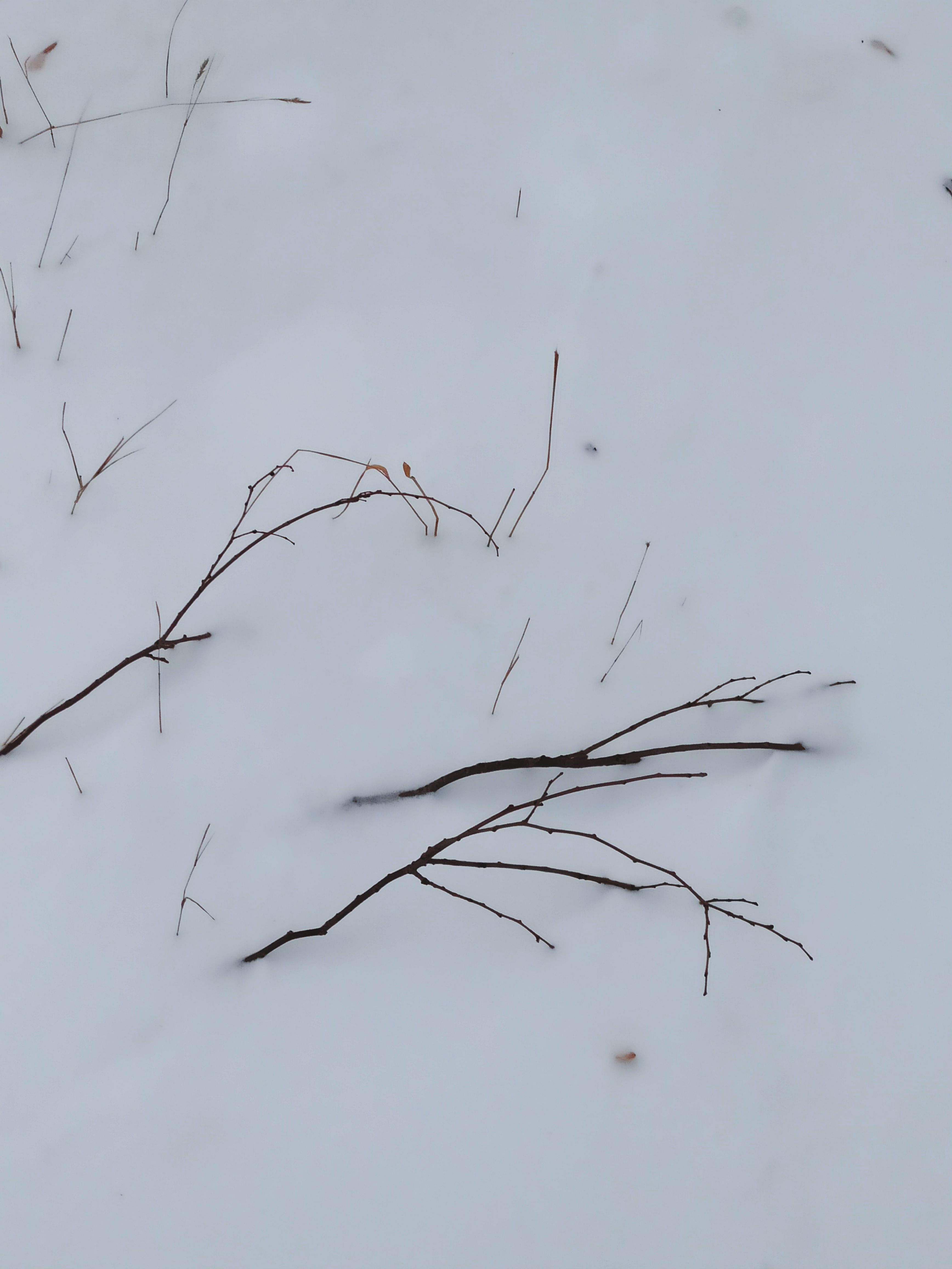 Photo by Natalie Dmay on pexels