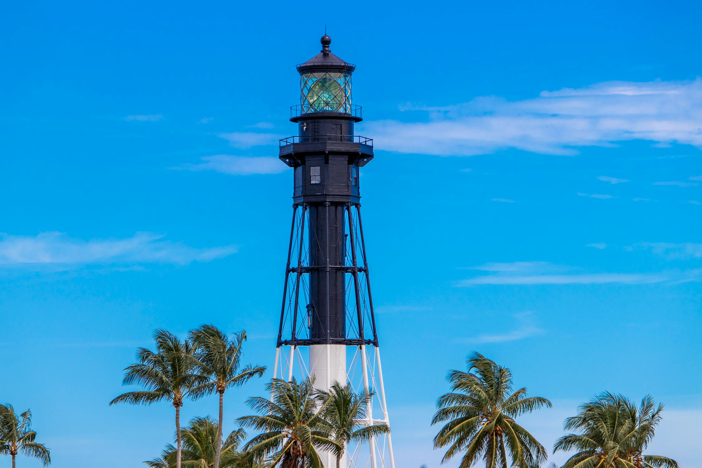A Light House And Palm Trees Free Stock Photo a-light-house-and-palm-trees-free-stock-photo