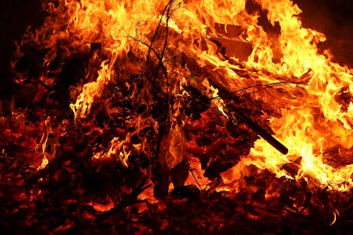 Foto stok gratis api, kayu bakar, membakar