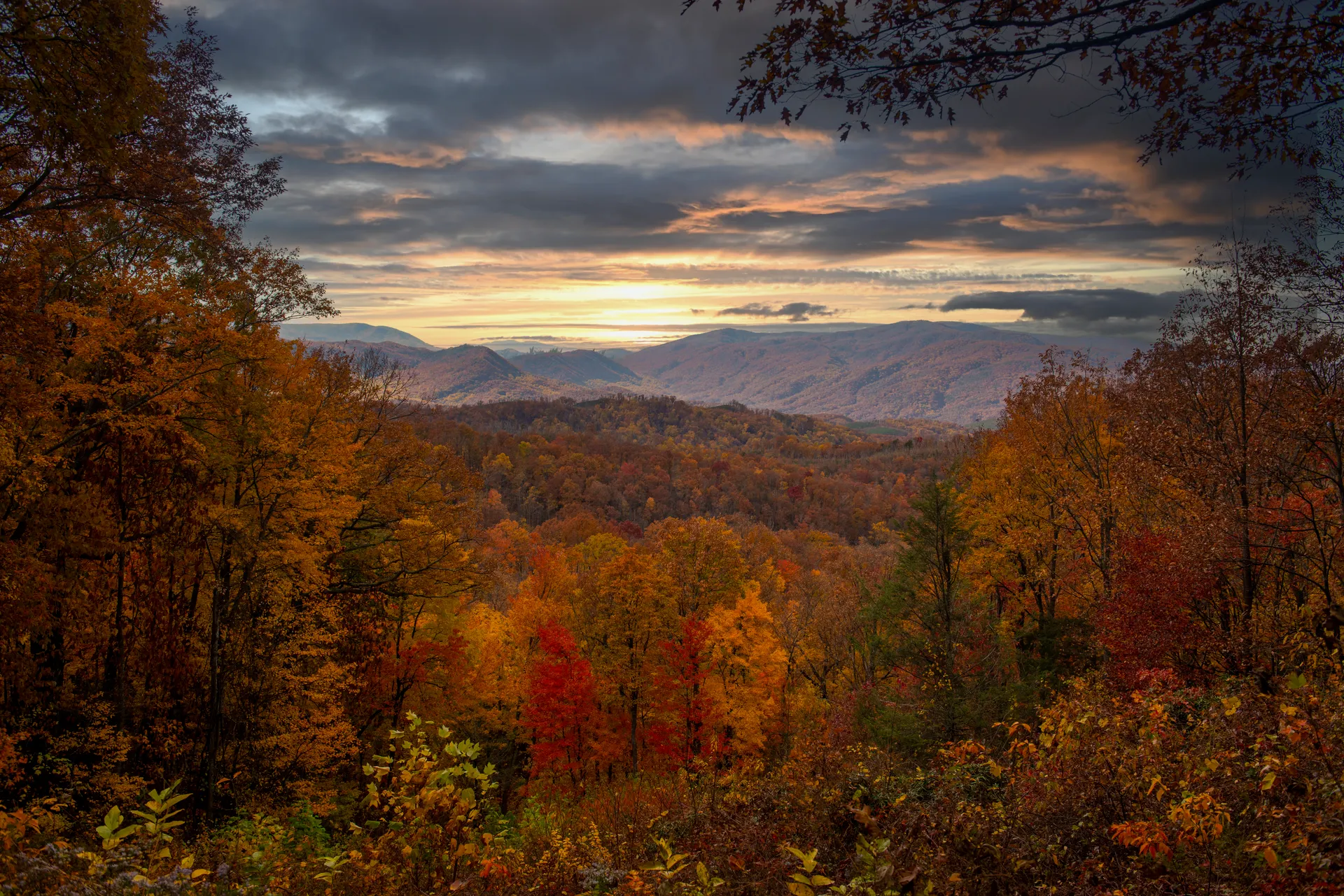 Fall foliage scene in Gatlinburg, showcasing autumn colors under a moody sky. Fall foliage scene in Gatlinburg, showcasing autumn colors under a moody sky.
