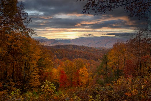Breathtaking fall foliage scene in Gatlinburg, showcasing vibrant autumn colors under a moody sky.