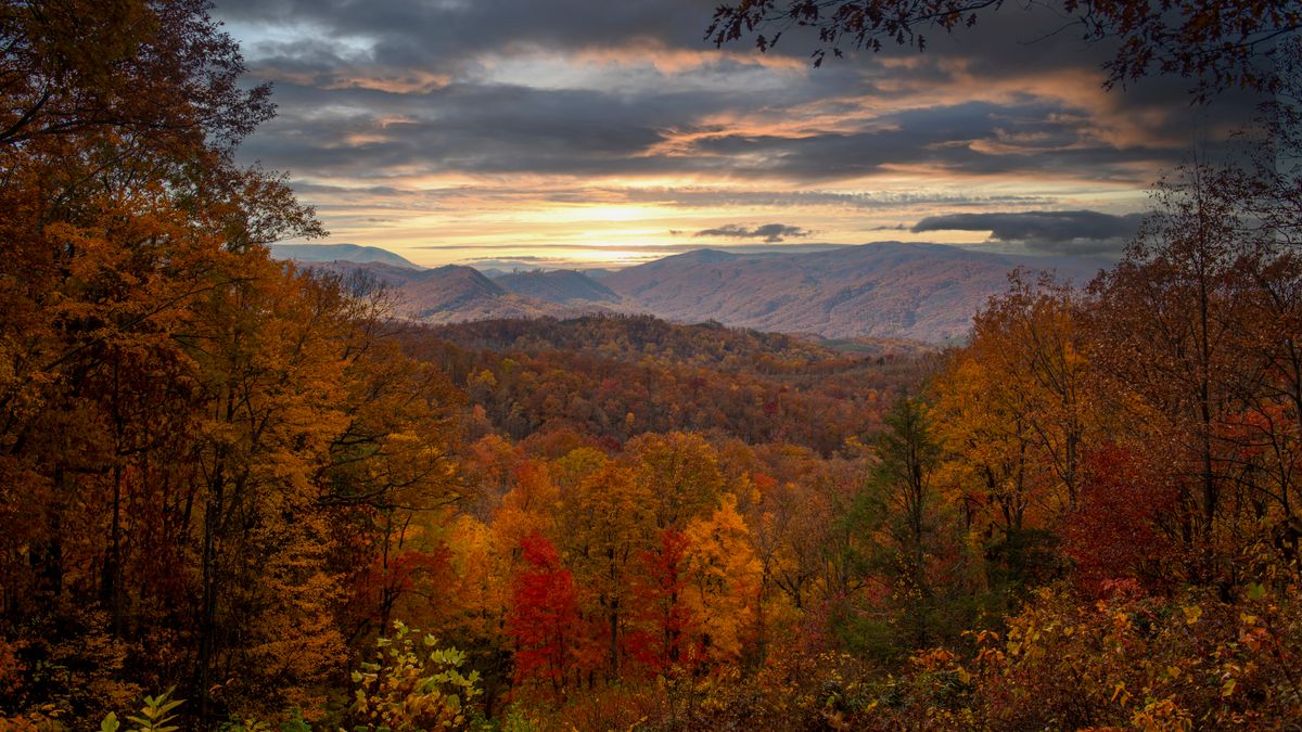 Autumn foliage in vibrant orange and red across a mountain valley near Gatlinburg