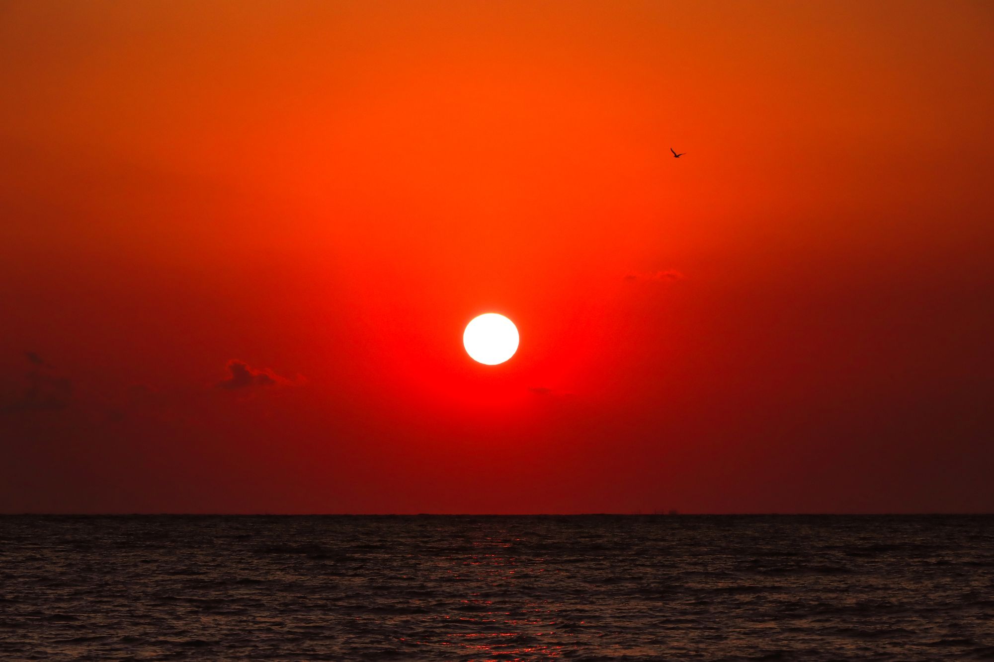 İskenderun