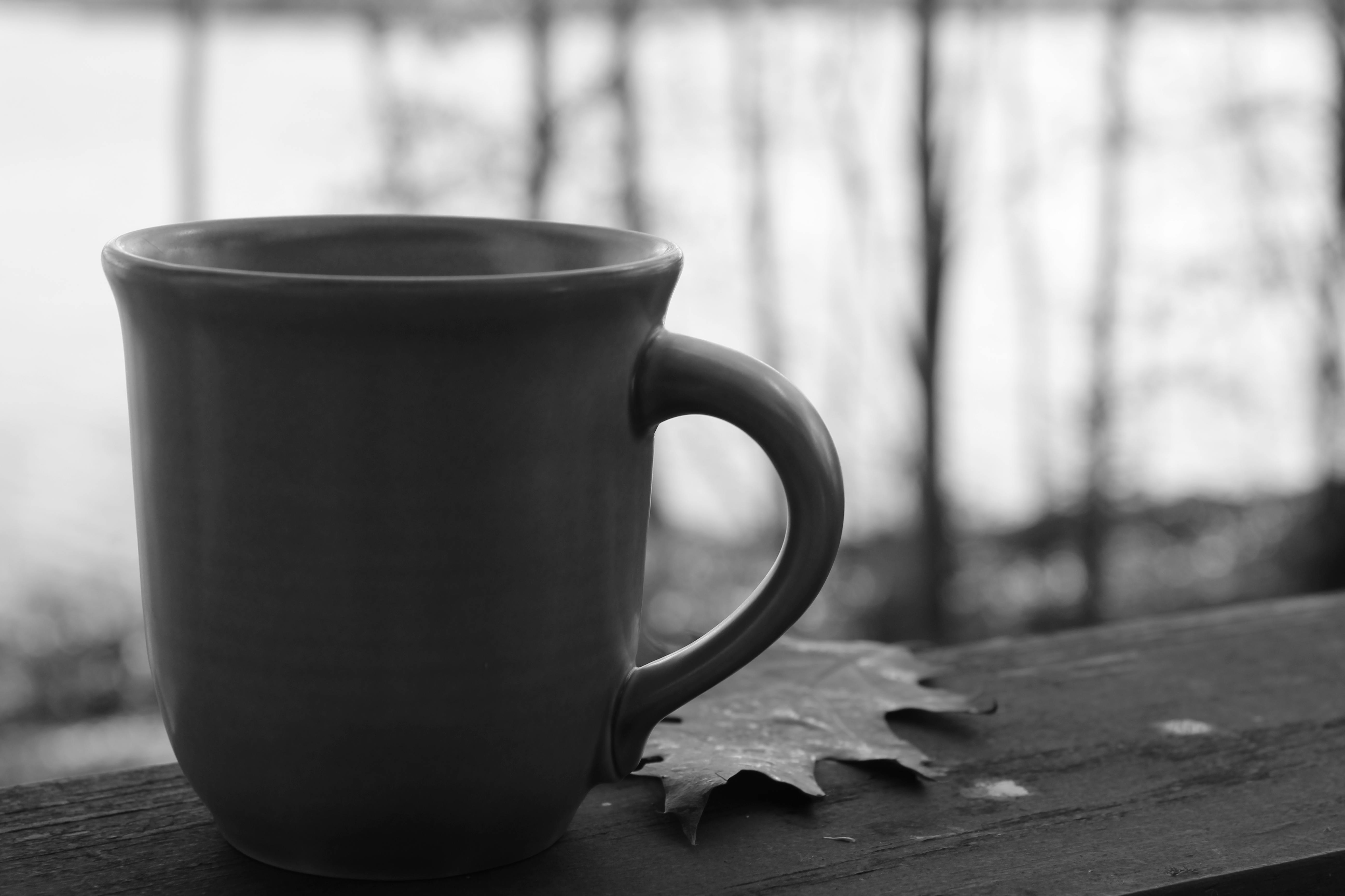 Free stock photo of coffee, fall, fall leaves