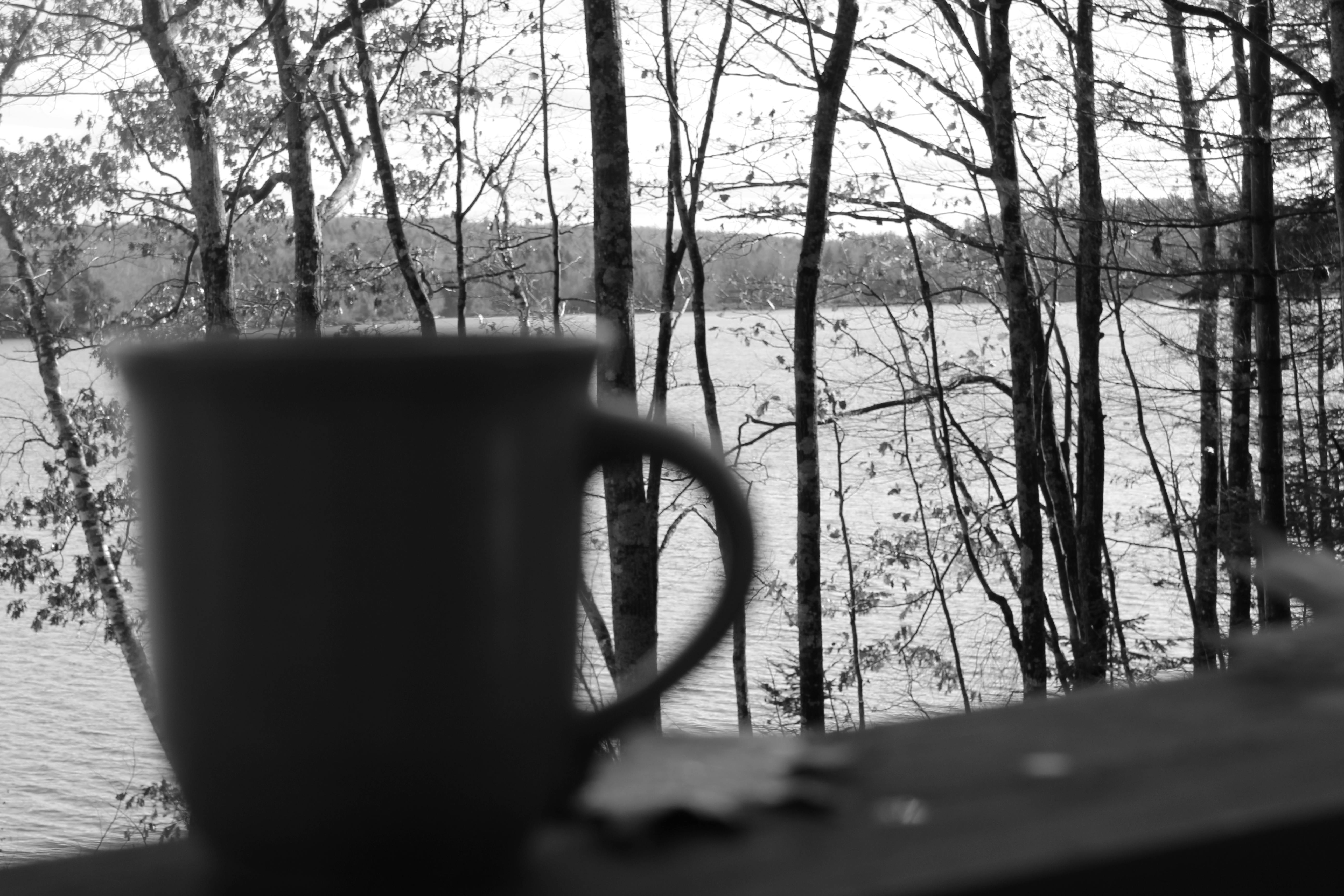 Free stock photo of coffee, fall, lake