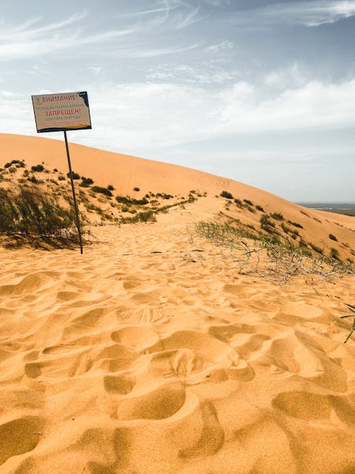 Imagine de stoc gratuită din avertisment, dune, faleză