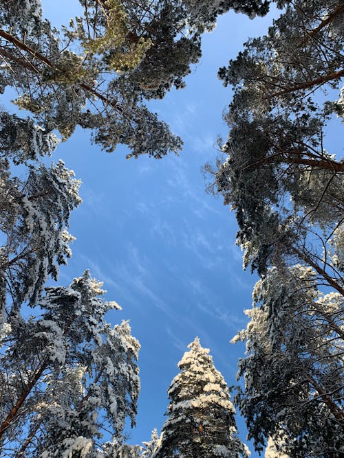 Бесплатное стоковое фото с вертикальный выстрел, вид сверху, голубое небо