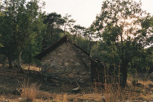 Free A picturesque stone cottage surrounded by trees in a serene rural setting during golden hour. Stock Photo