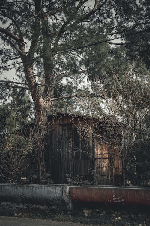 Wooden Barn Behind the Trees