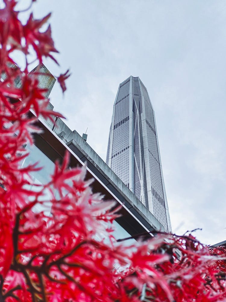 Low Angle View Of A Skyscraper 