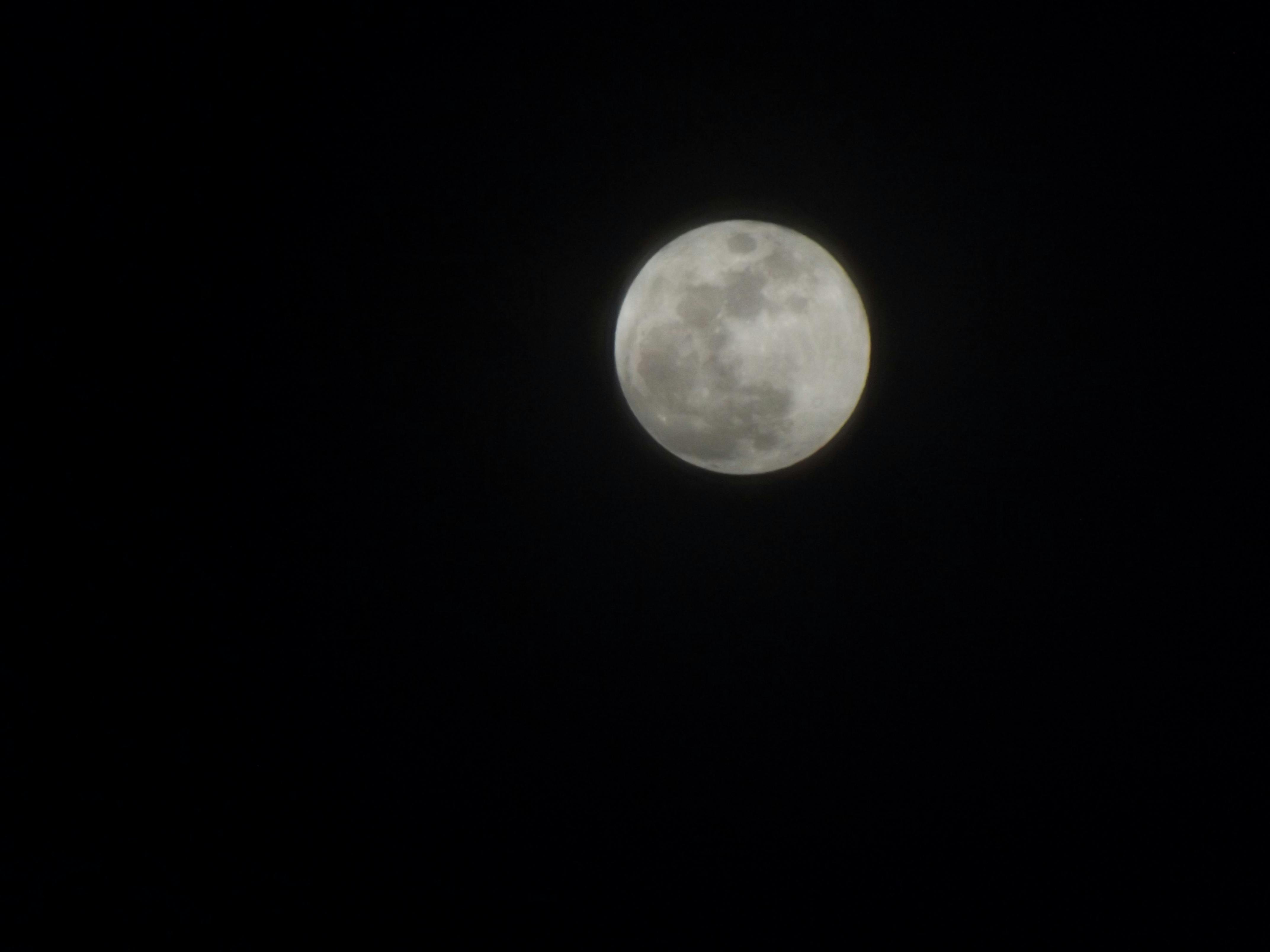 Free stock photo of moon, night time, Starless night