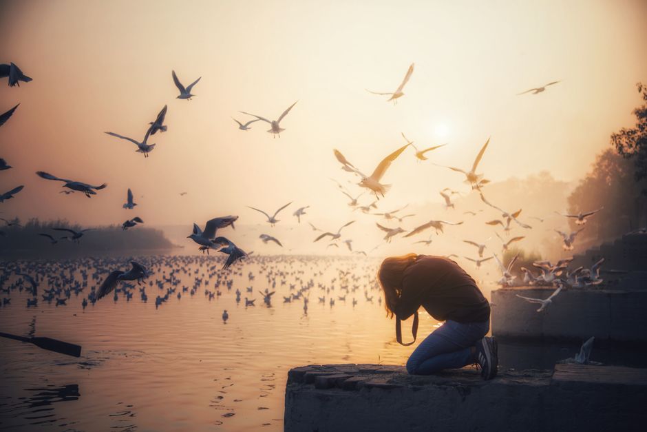 A woman photographer kneels near a sea full of birds at dusk, capturing the serene scenery.