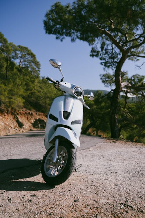 Sunlit Motor Scooter near Road