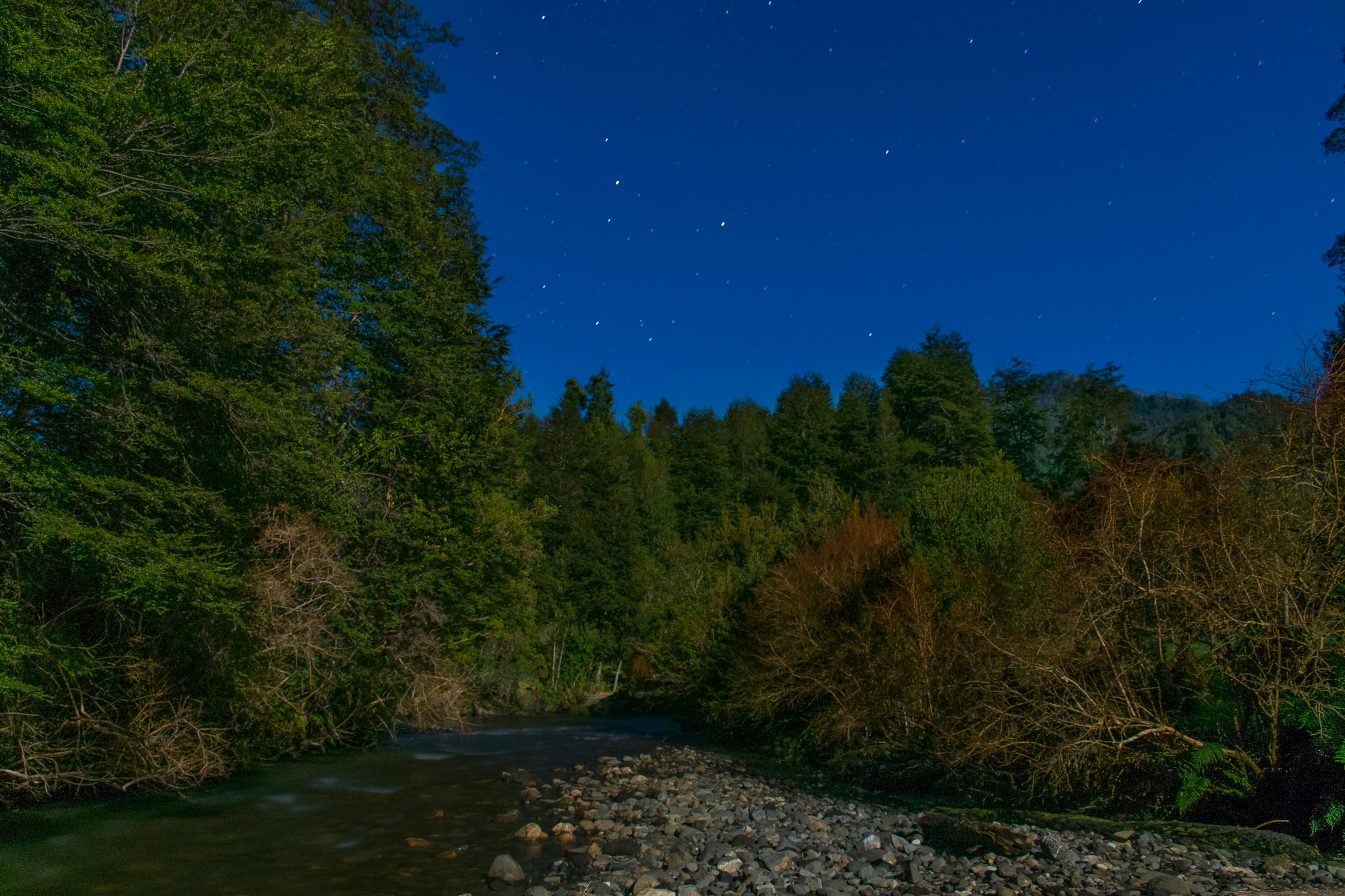 Gombe Stream National Park