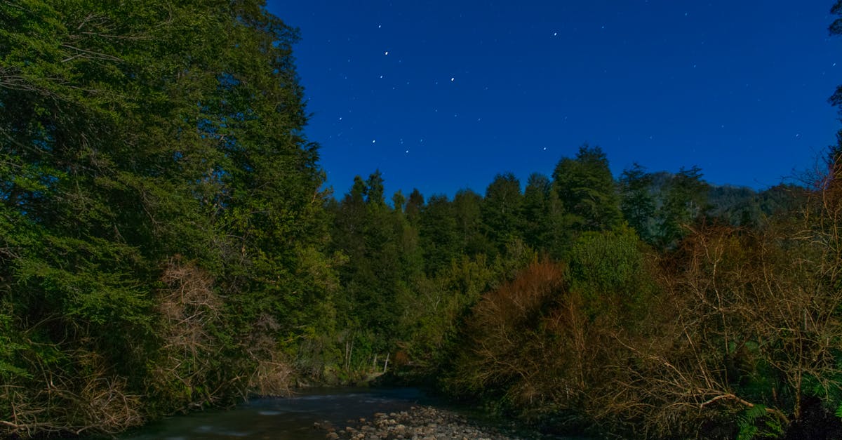 Gombe Stream National Park