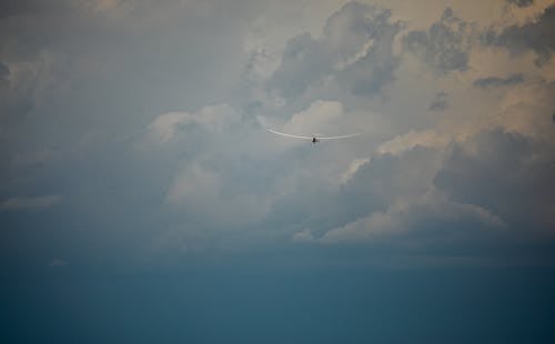 คลังภาพถ่ายฟรี ของ skyscape, กลางเวหา, การบิน