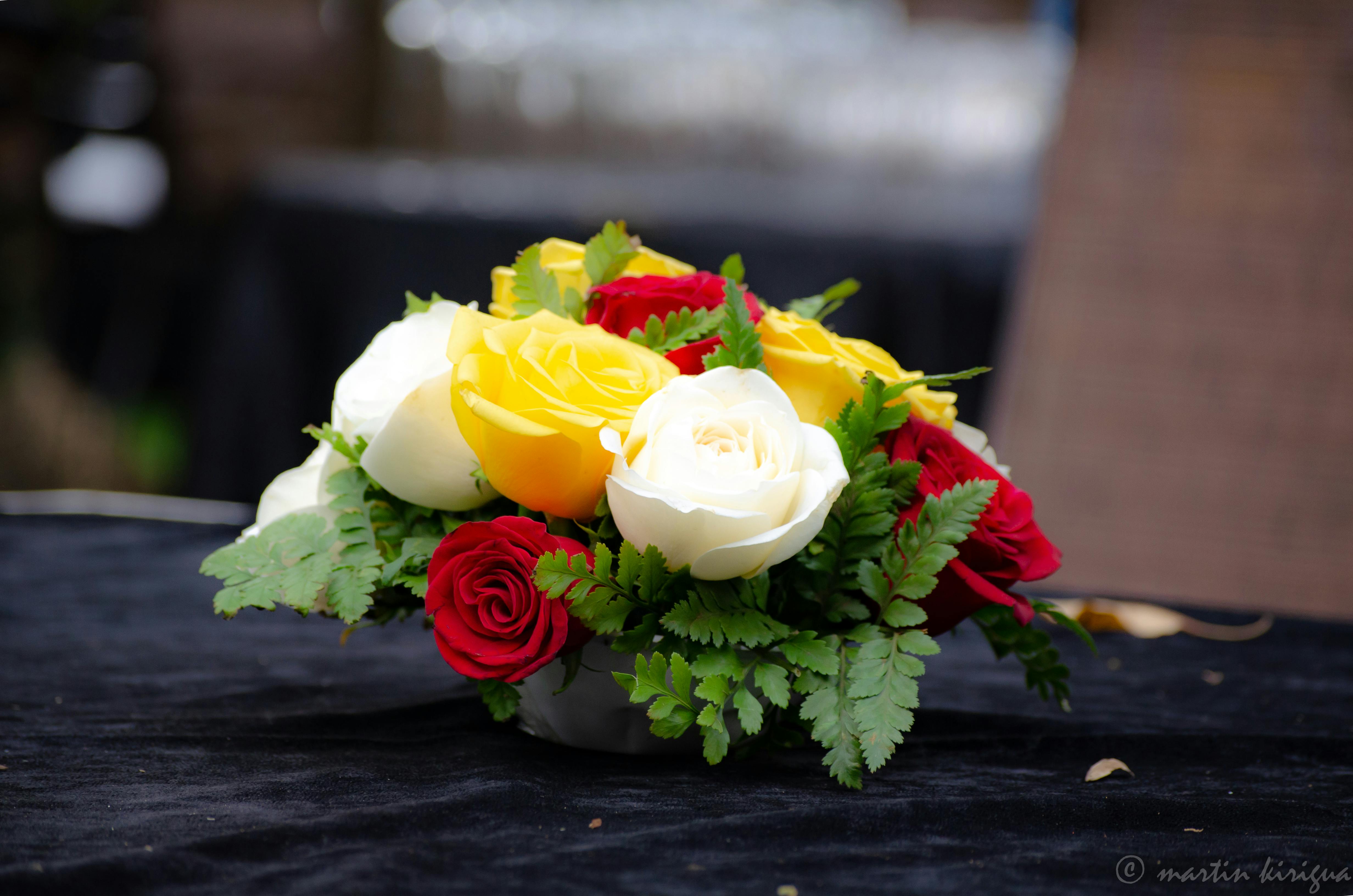 Free stock photo of bunch of flowers, red flowers, white flower