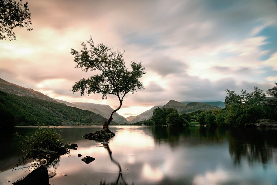 New Zealand